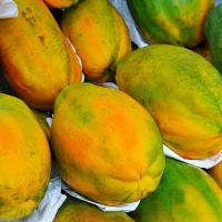 Fresh Papayas Supplier