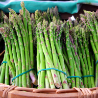Fresh Asparagus Supplier