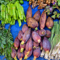Exotic Vegetables Supplier