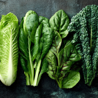 Leafy Salad Vegetables Supplier
