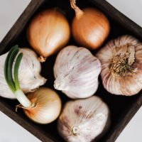 Onions And Garlic Supplier