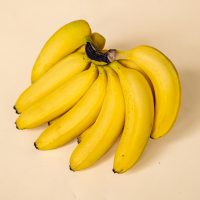 Fresh Bananas Supplier