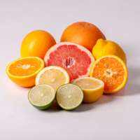 Citrus Fruits Supplier