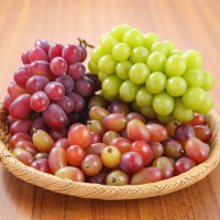 Fresh Grapes Supplier