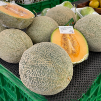 Fresh Melons Supplier