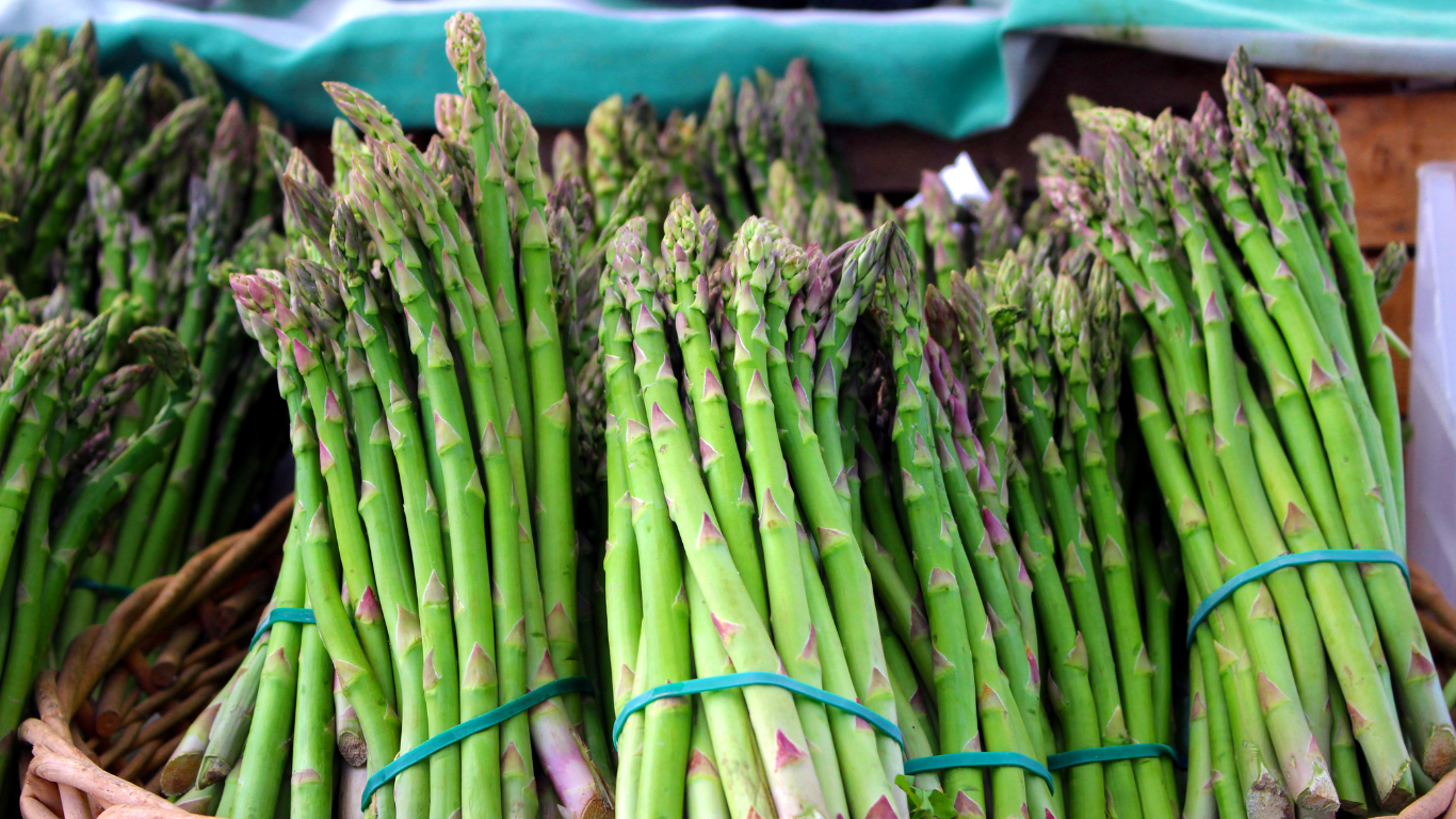 Fresh Asparagus Supplier