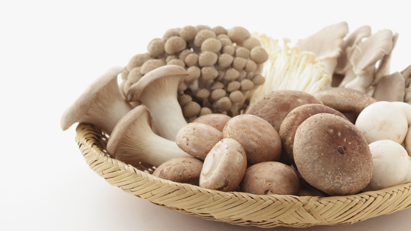 Fresh Mushrooms Supplier