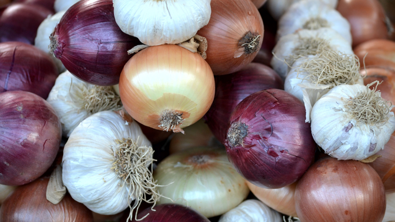 Fresh Onions Supplier
