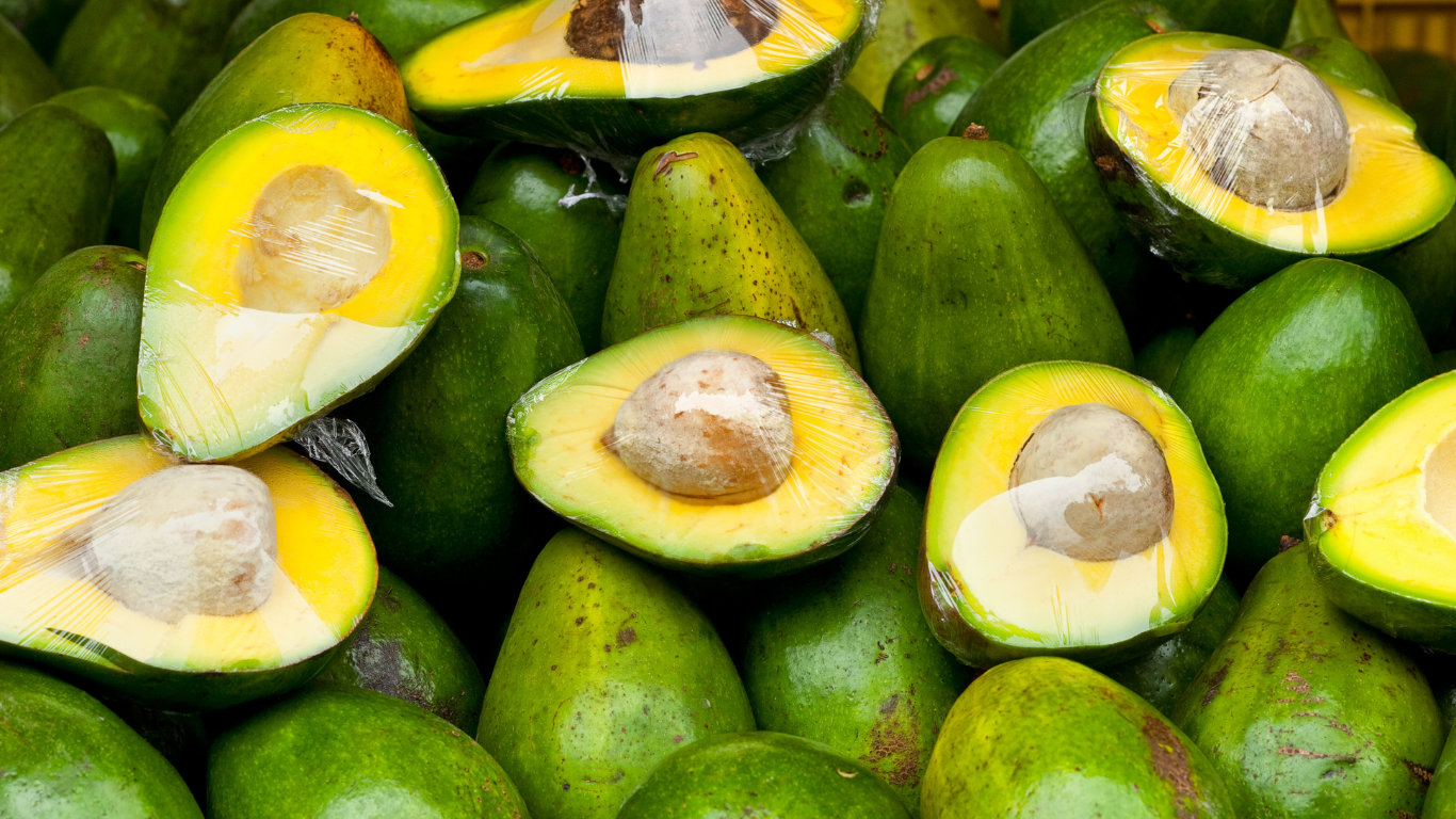 Fresh Avocados Supplier