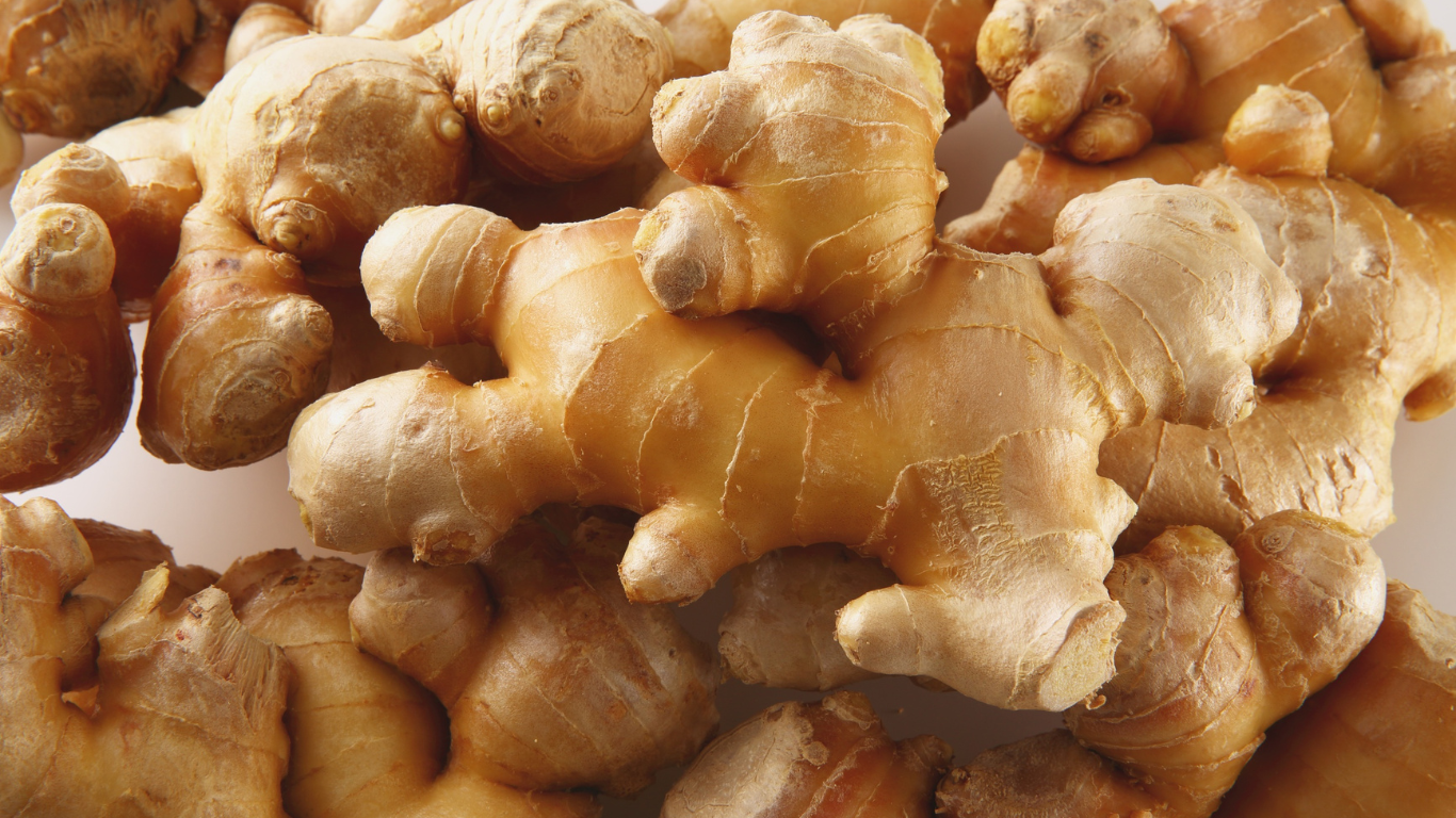 Fresh Ginger Supplier