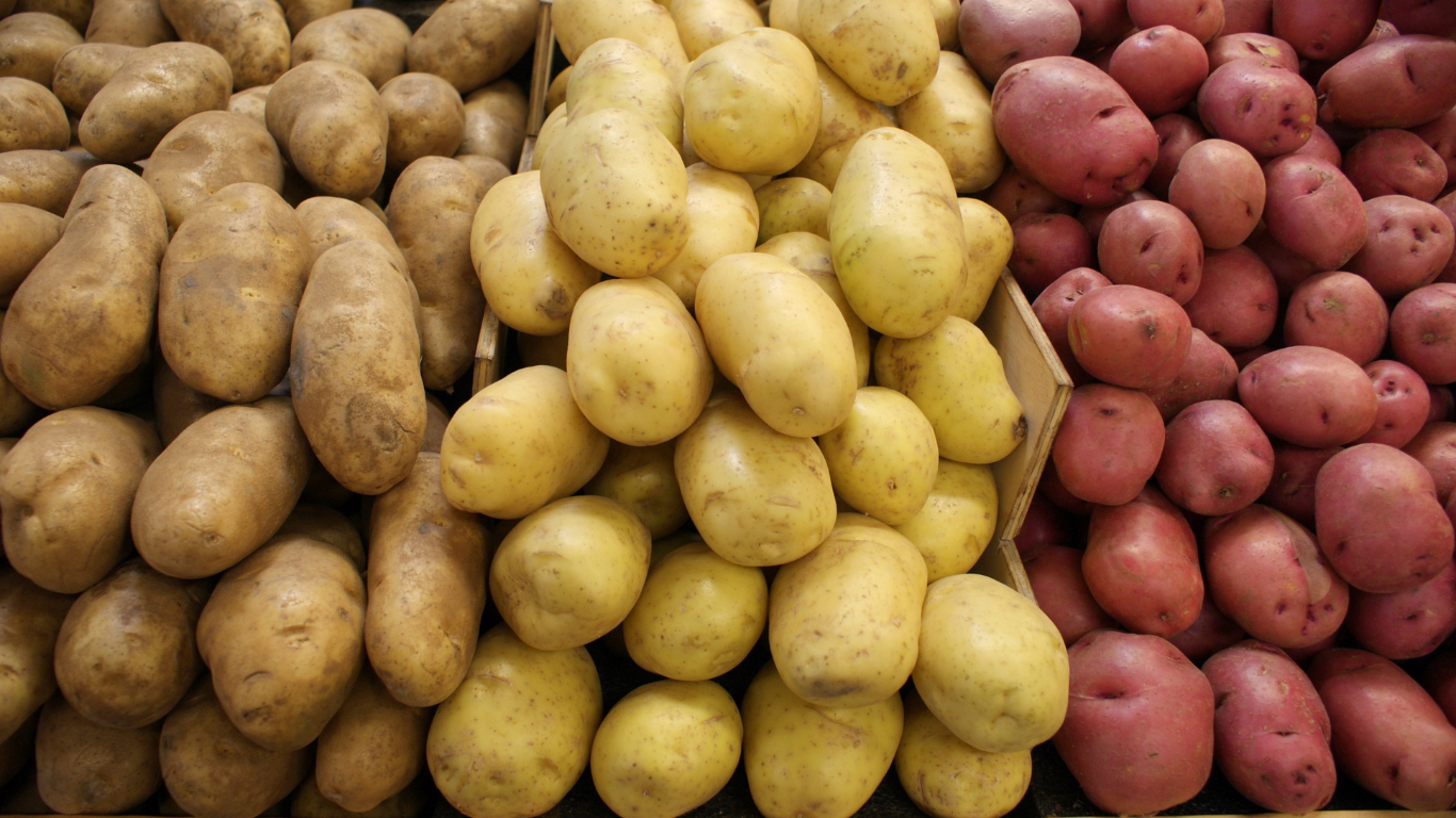 Fresh Potatoes Supplier