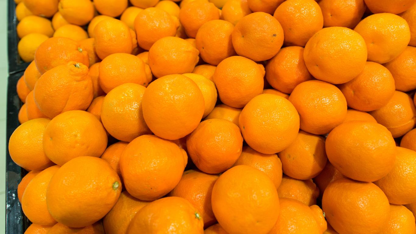 Fresh Citrus Fruits Supplier