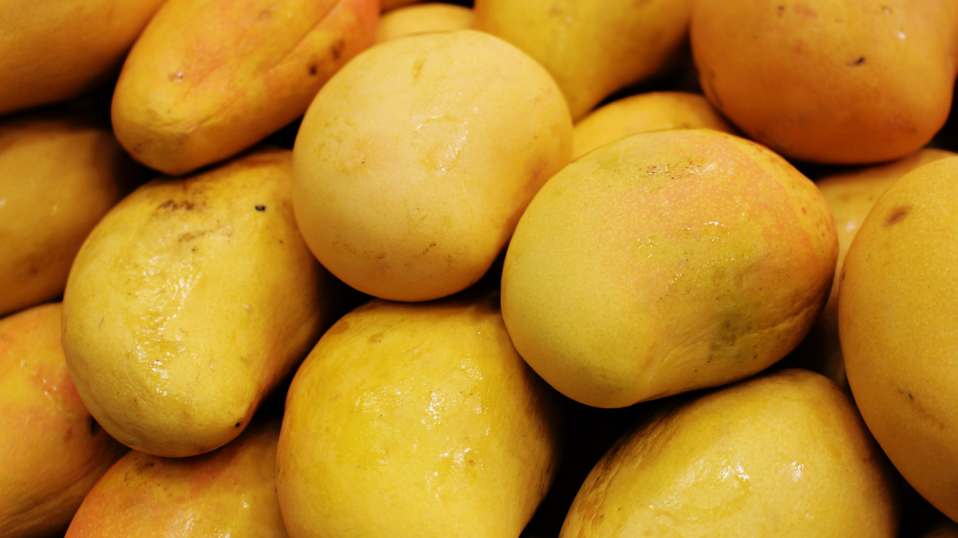 Fresh Mangoes Supplier