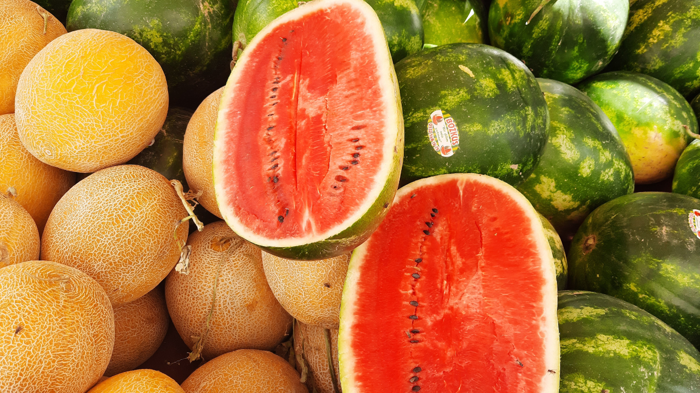 Fresh Melons Supplier