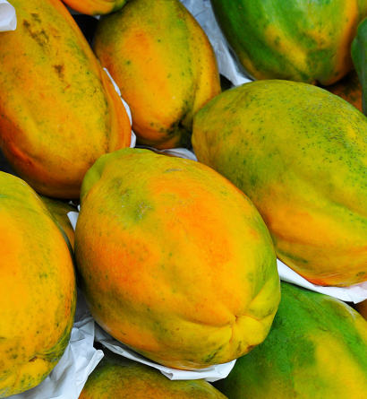 Fresh Papayas Supplier