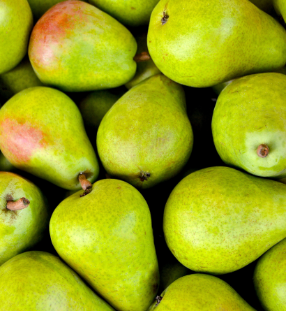 Fresh Pears Supplier