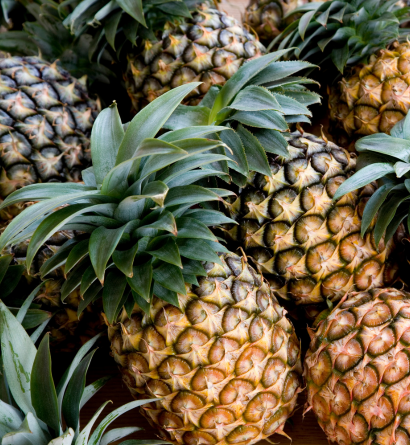 Fresh Pineapples Supplier