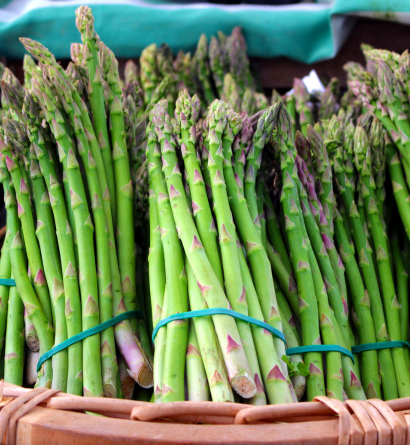 Fresh Asparagus Supplier
