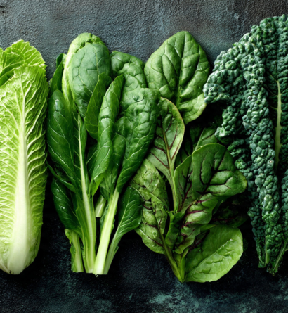Leafy And Salad Vegetables Supplier
