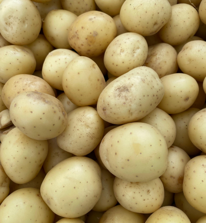 Fresh Potatoes Supplier
