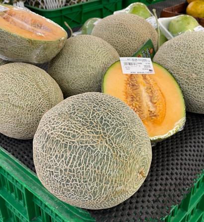 Fresh Melons Supplier